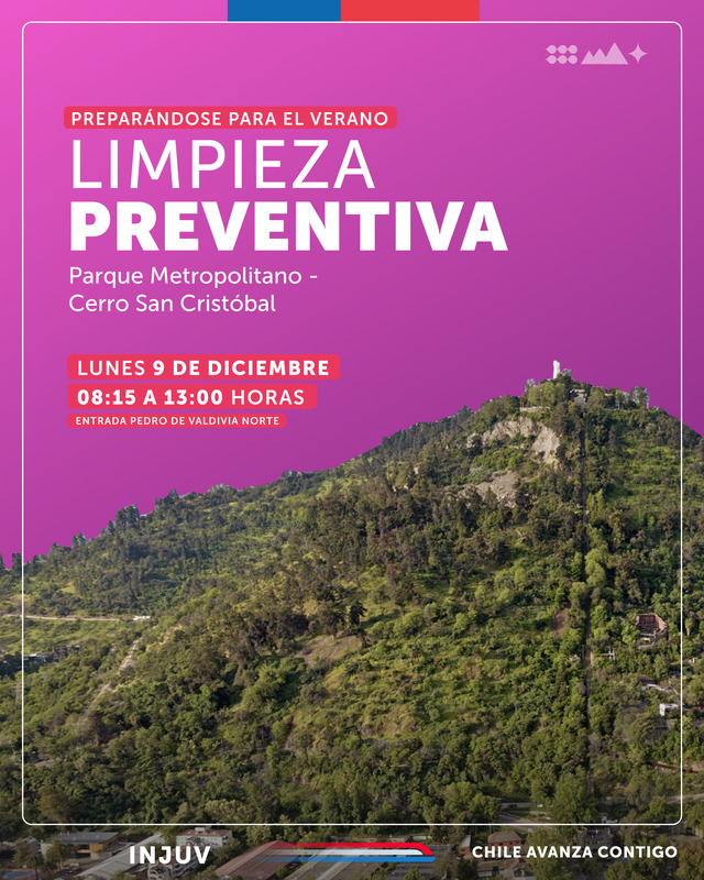 Limpieza_preventiva.png