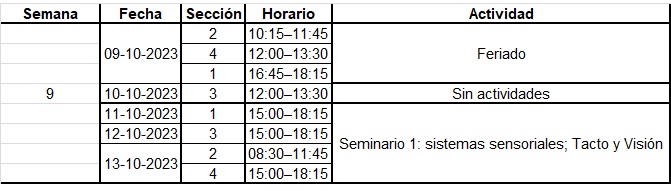 Actividades_9-13_octubre.jpg